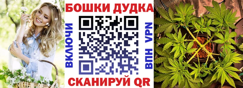 Какие есть наркотики Пустошка Псилоцибиновые грибы Alpha PVP Меф мяу мяу Конопля КОКАИН ГАШИШ