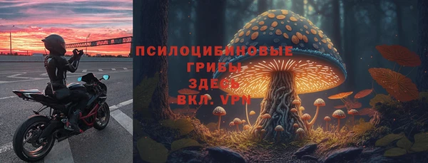 apvp Армянск