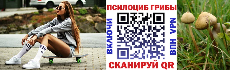 Галлюциногенные грибы Psilocybine cubensis  Пустошка 